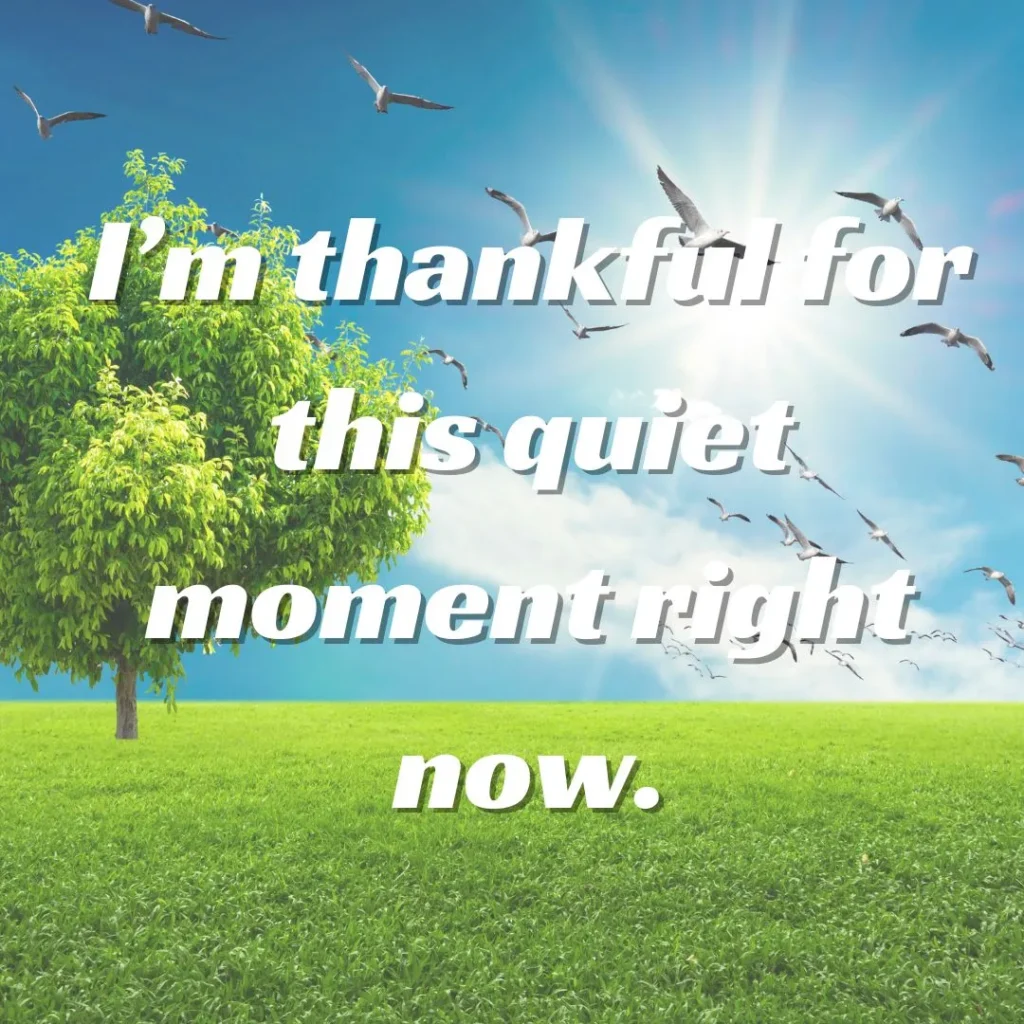 I’m thankful for this quiet moment right now.