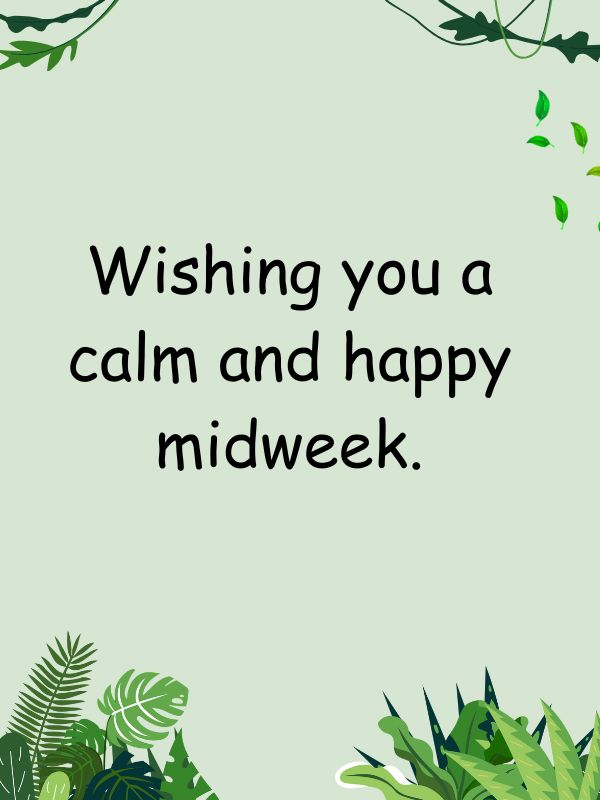 Gentle Good Morning Wednesday Messages to Start the Day