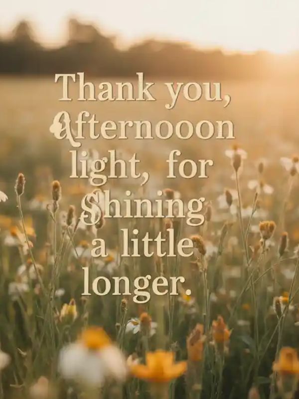 Gratitude-Filled Good Afternoon Messages
